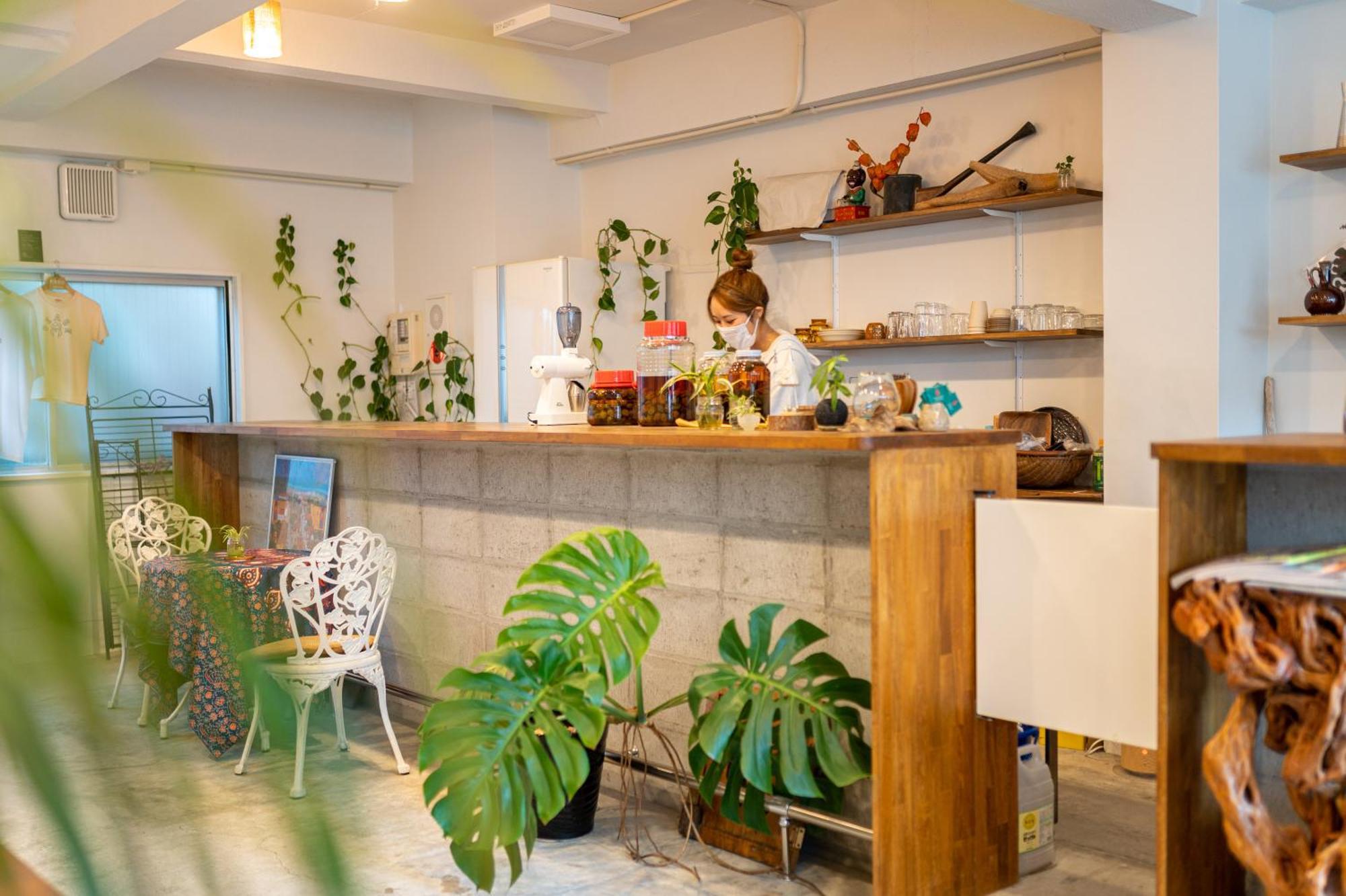 נגסקי Hotel & Cafe Ksnowki מראה חיצוני תמונה